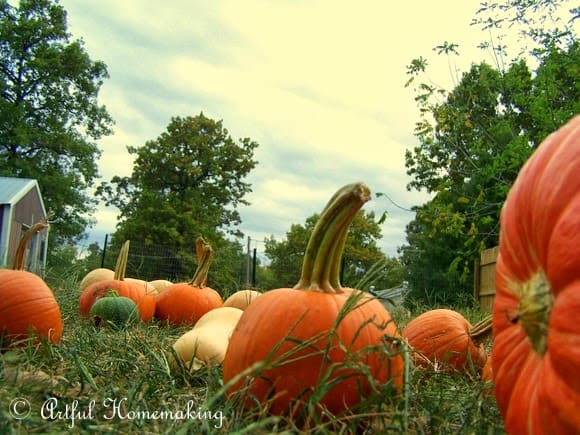 October Days