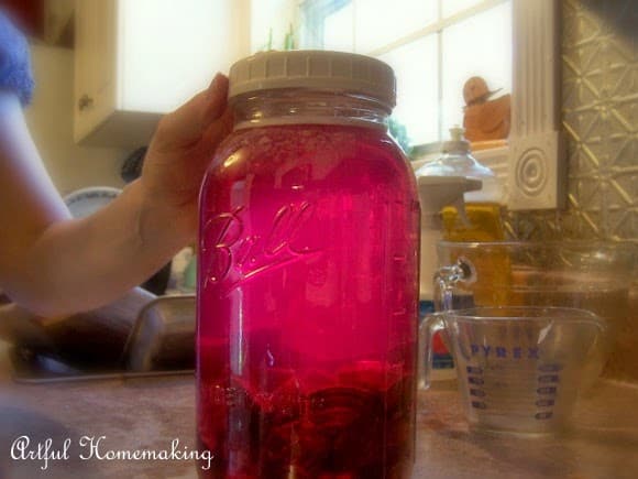 Beet Kvass