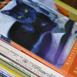 Our 2017-2018 Homeschool Curriculum