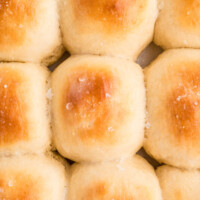Buttermilk dinner rolls in a baking dish.
