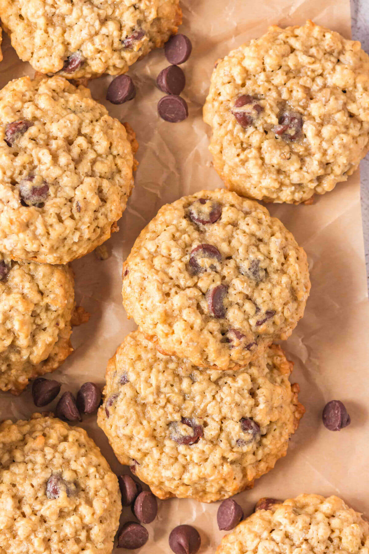 Sourdough oatmeal chocolate chip cookies on a piece of parchment paper after baking.