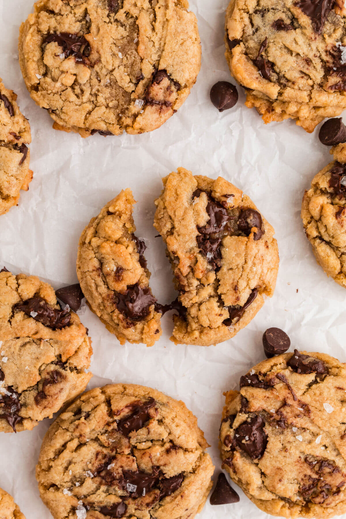 Brown butter sourdough chocolate chip cookies on a baking sheet after baking.