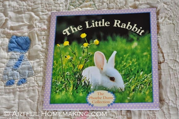 The Little Rabbit {Before Five in a Row}