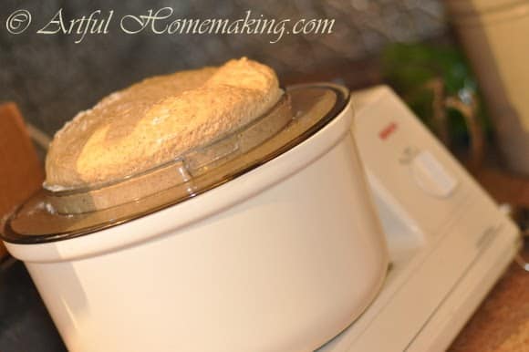 pizza dough in Bosch mixer