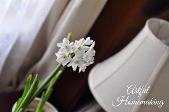 white narcissus flowers on a table next to a lamp in front of a window