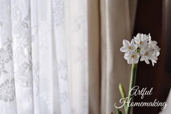 white narcissus flowers and lace curtains illustrating spring homemaking ideas