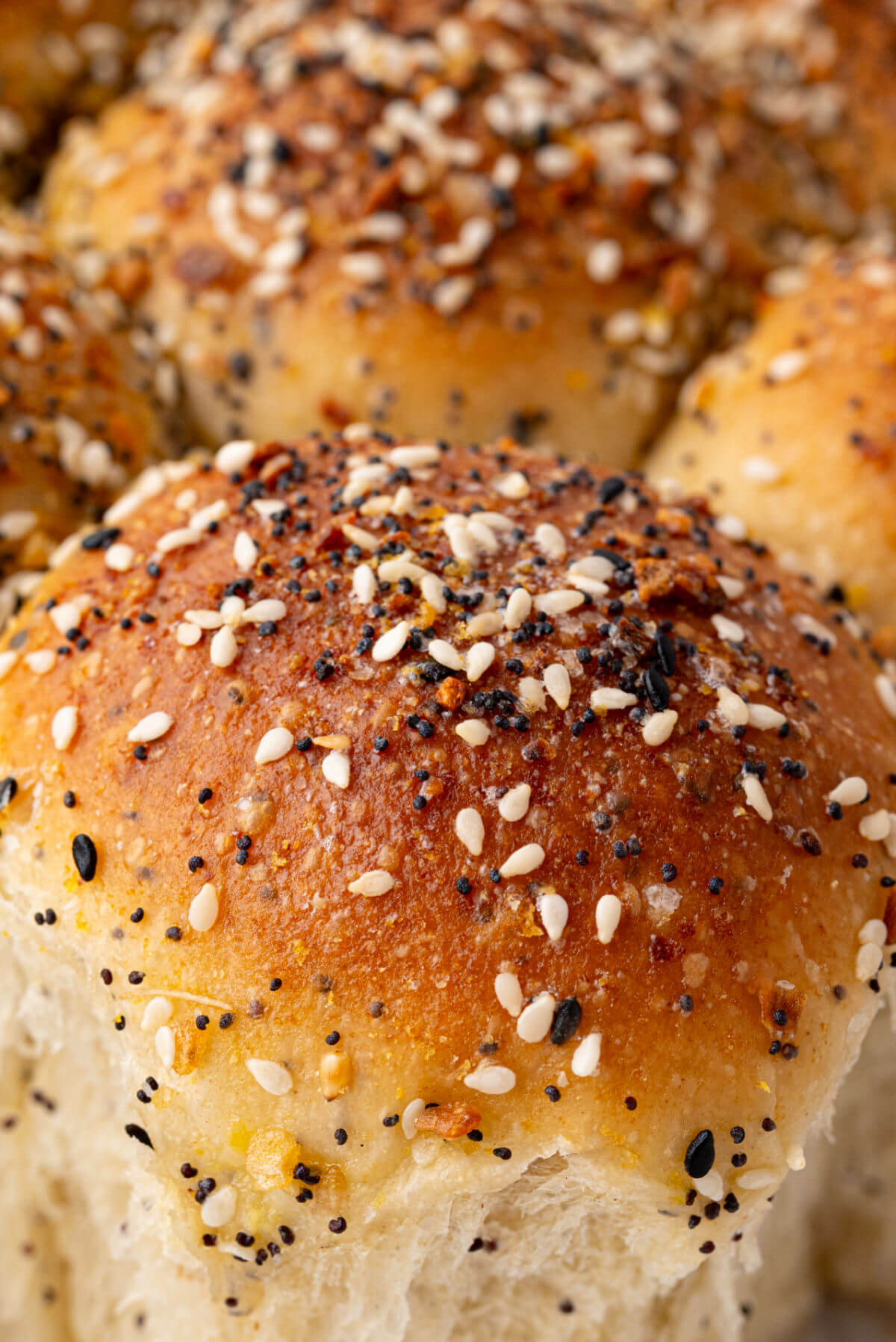 Close up photo of everything bagel sourdough rolls with sesame seeds.