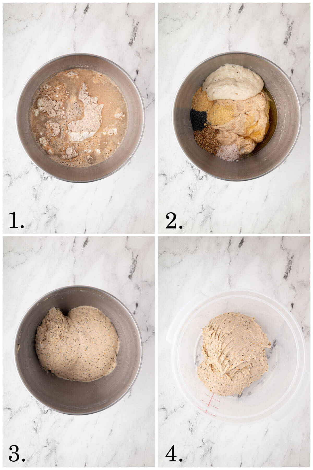Collage of four photos showing steps 1-4 of how to make everything bagel sourdough bread.