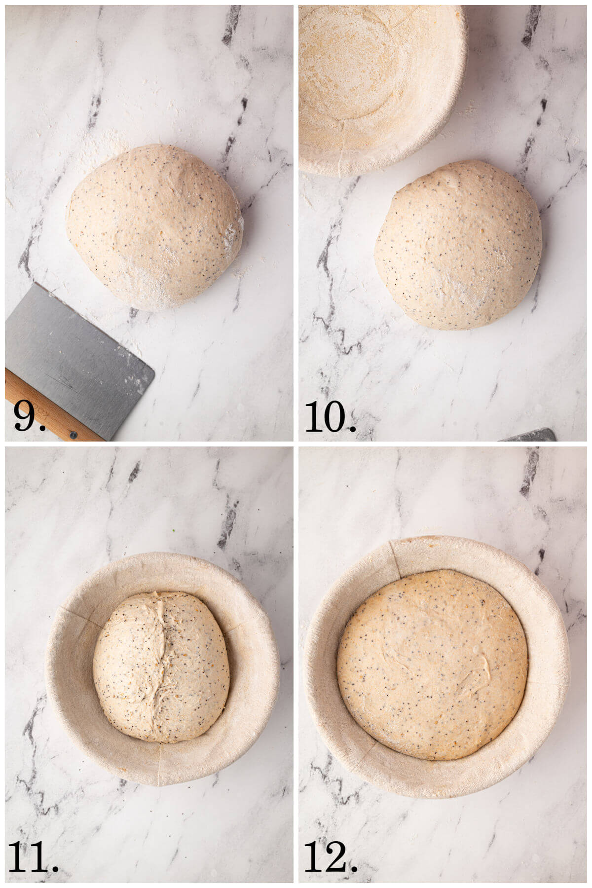 Collage of four photos showing steps 9-12 for how to make everything bagel sourdough bread.