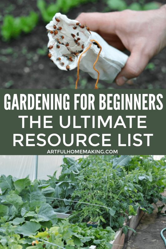 Gardening for Beginners