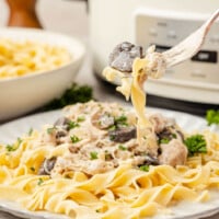 Slow cooker chicken stroganoff on a plate.