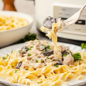 Slow cooker chicken stroganoff on a plate.