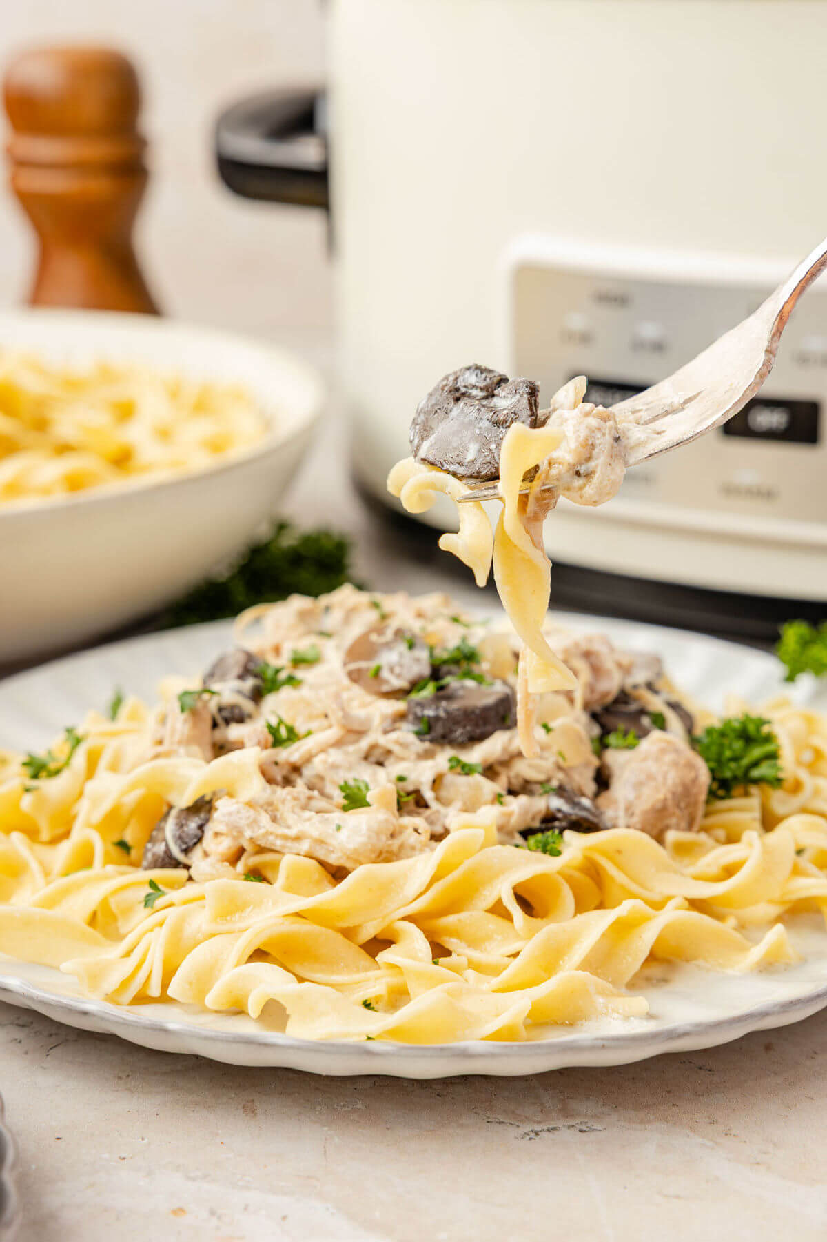 Slow cooker chicken stroganoff on a plate.