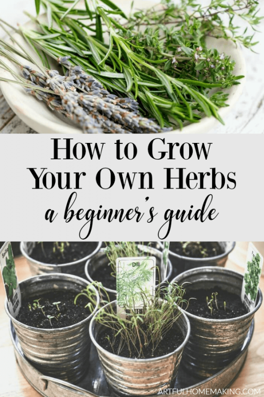 How to Grow Herbs: A Beginner's Guide - Artful Homemaking