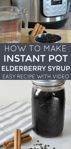 Instant Pot Elderberry Syrup