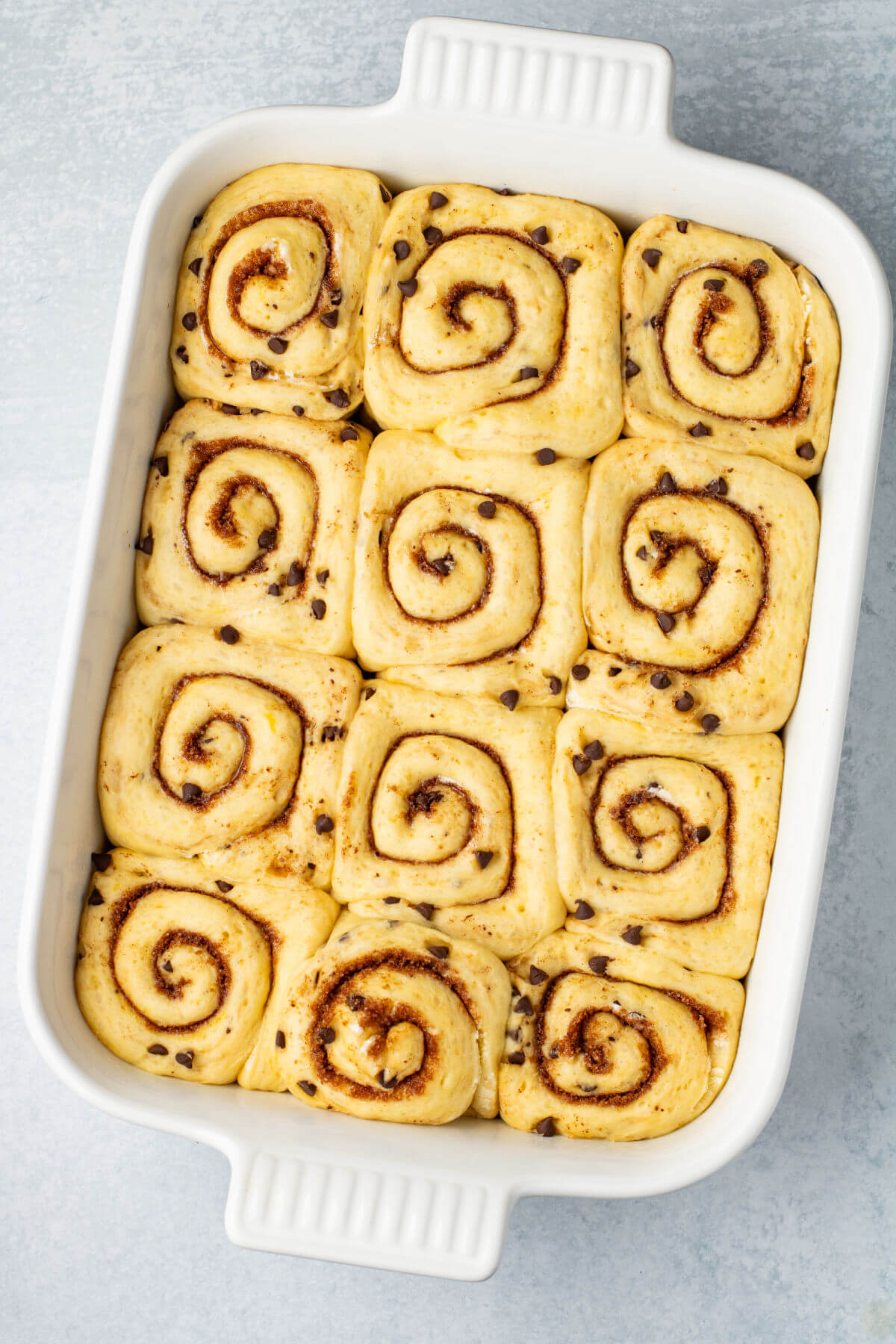 An unbaked pan of chocolate cinnamon rolls.