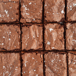 Sourdough brownies cut into squares.