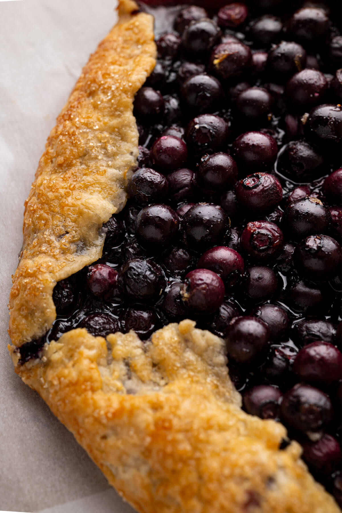 Blueberry sourdough galette recipe with fresh blueberries.
