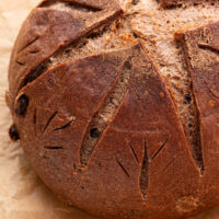 Loaf of sourdough chocolate chili bread on a piece of parchment paper.