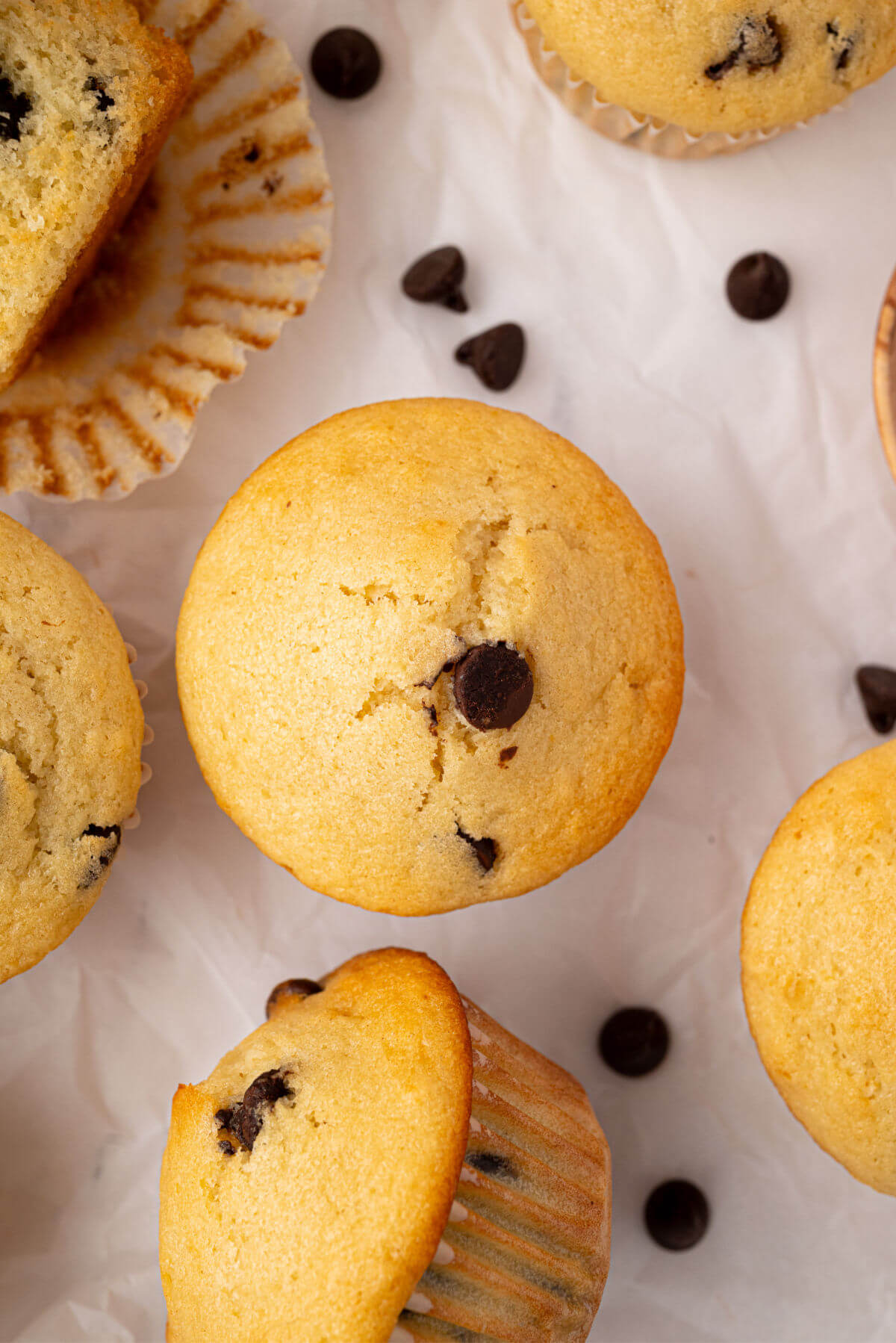 A sourdough chocolate chip muffin with extra chocolate chips.