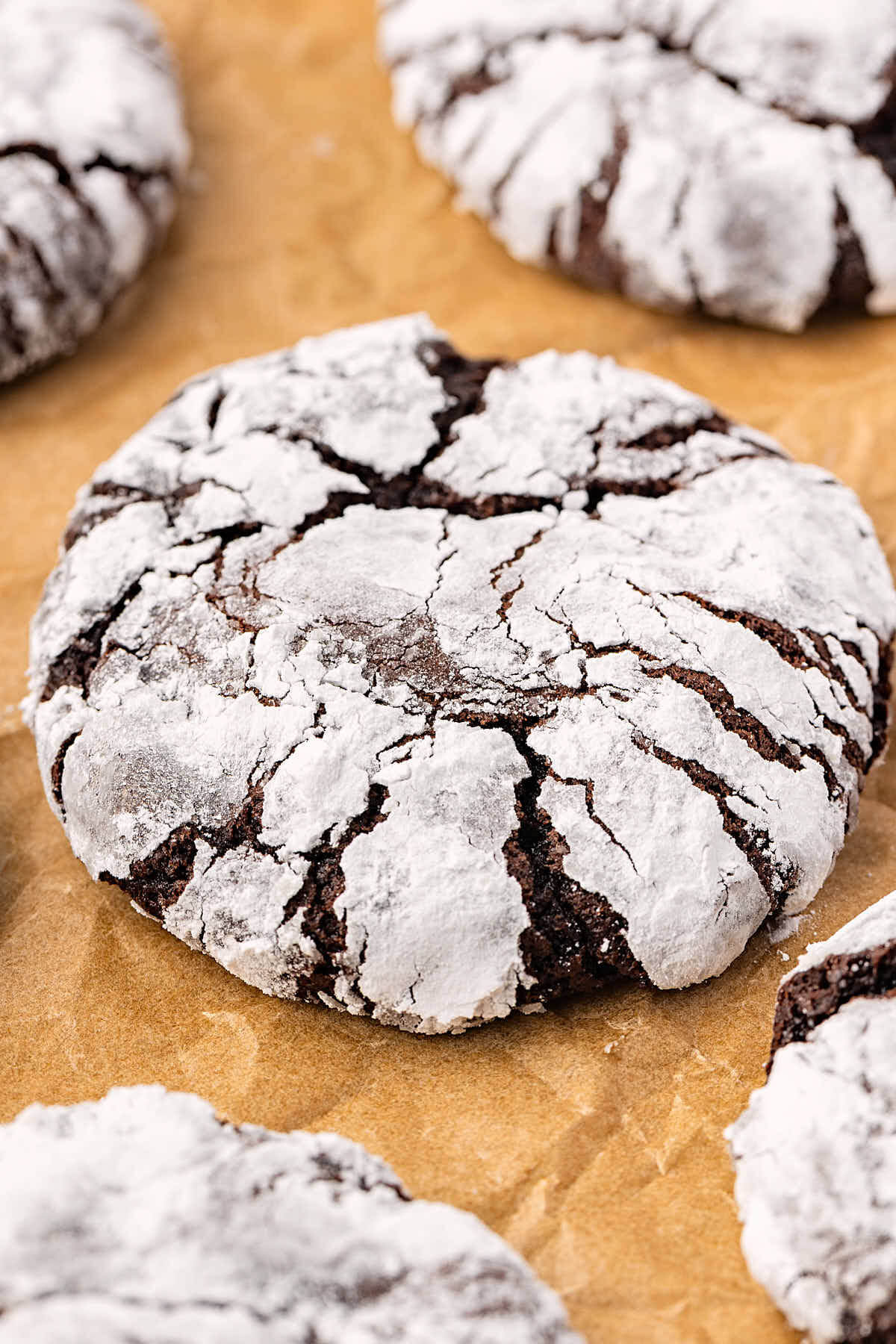 Sourdough chocolate crinkle cookies on parchment paper after baking.