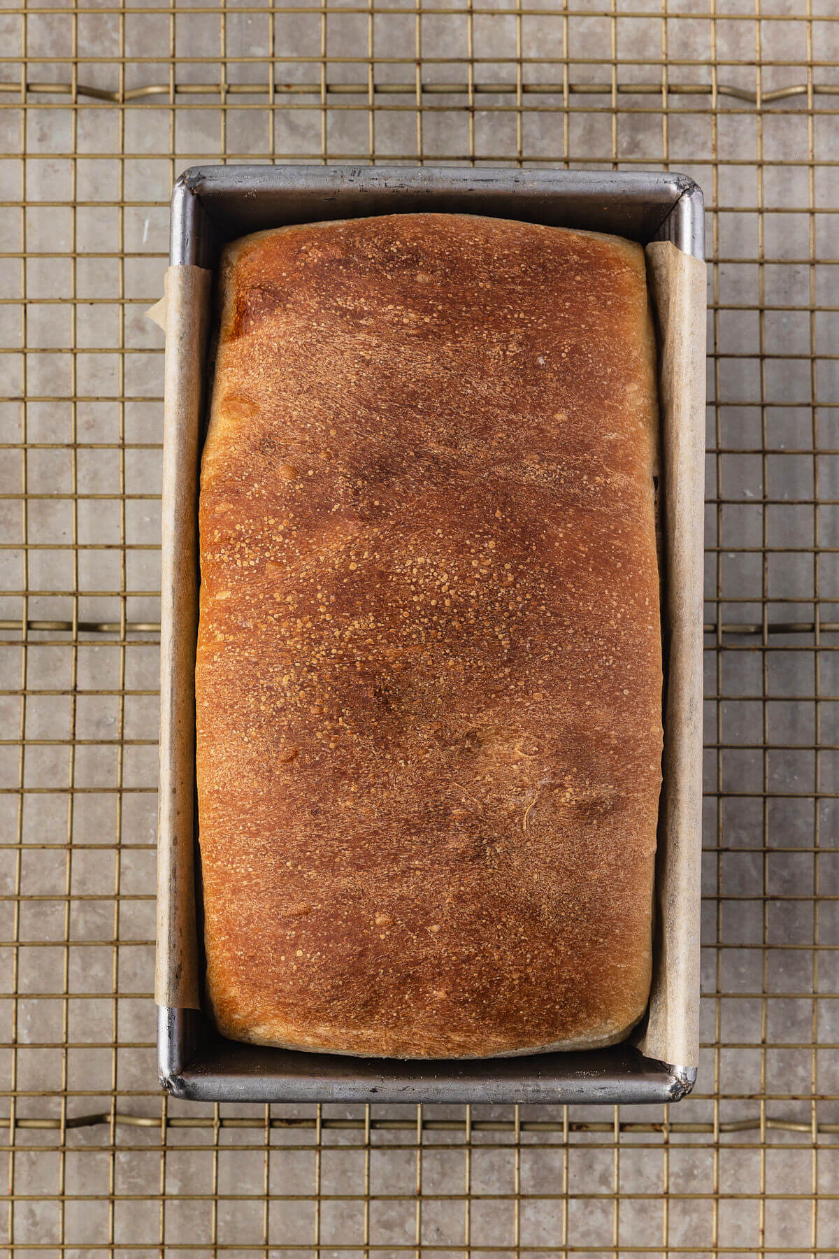 Sourdough cinnamon swirl bread in pan after baking.