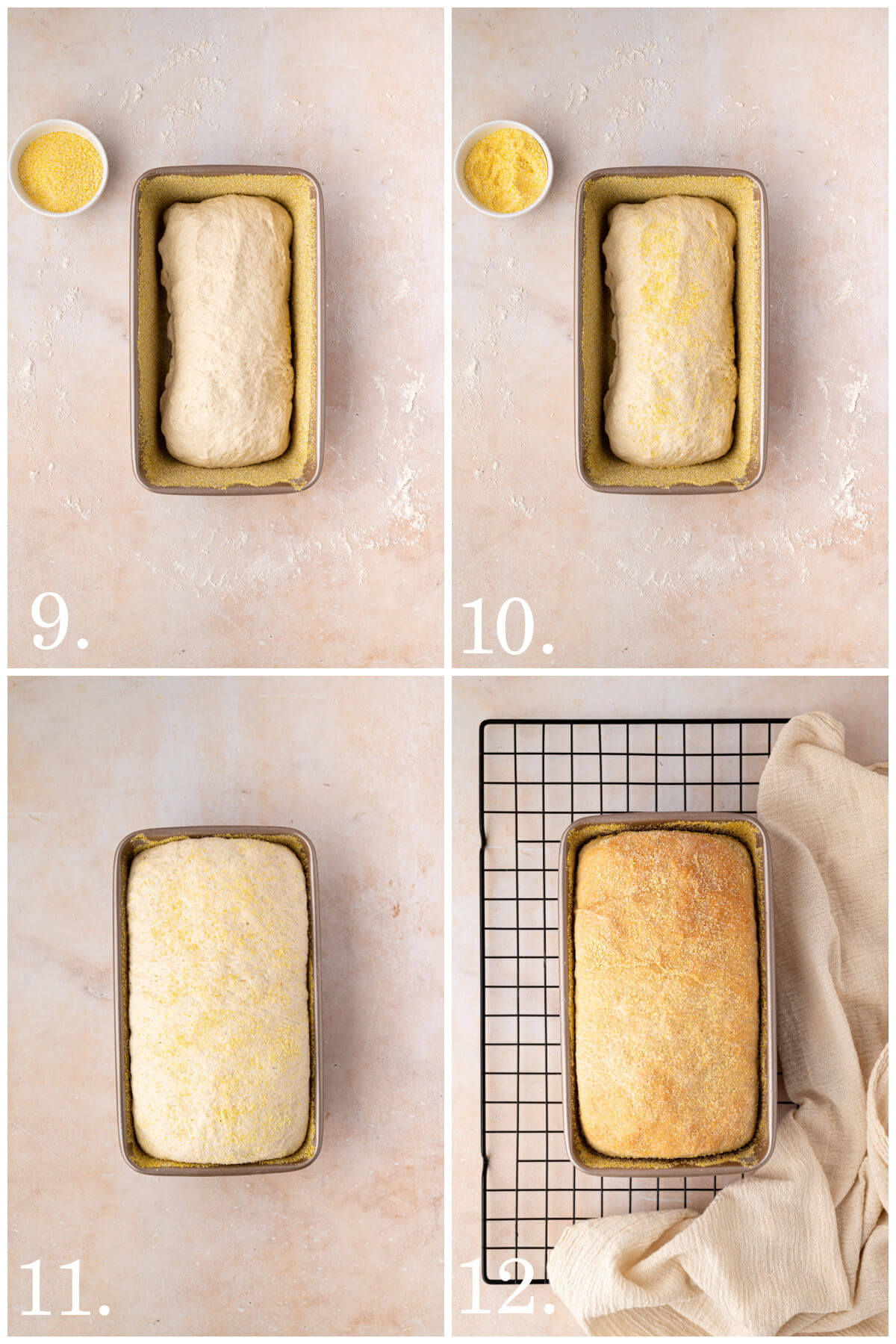 Steps 9 through 12 used to make sourdough English muffin bread.