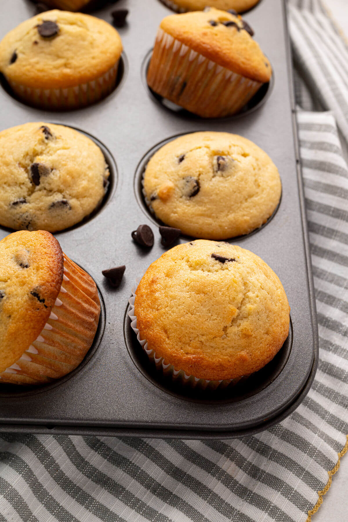 Freshly baked chocolate chip sourdough muffins in a muffin pan.