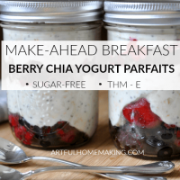 Berry Yogurt Make-Ahead Breakfast Parfaits THM-E