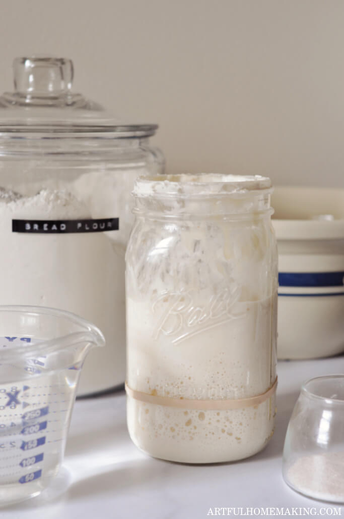 bubbly active sourdough starter in mason jar