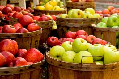 trim healthy mama apple recipes