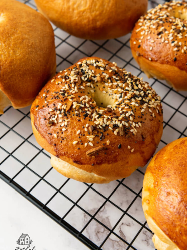 homemade bagels on a cooling rack