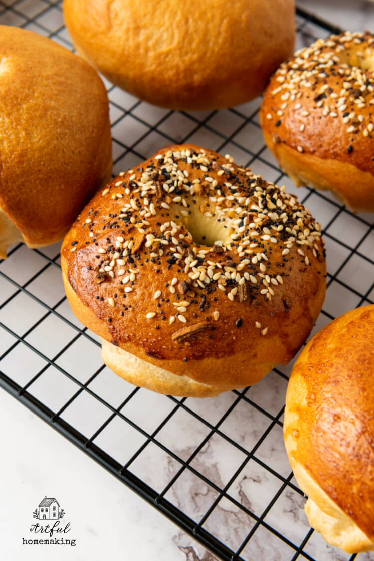 homemade bagels on a cooling rack