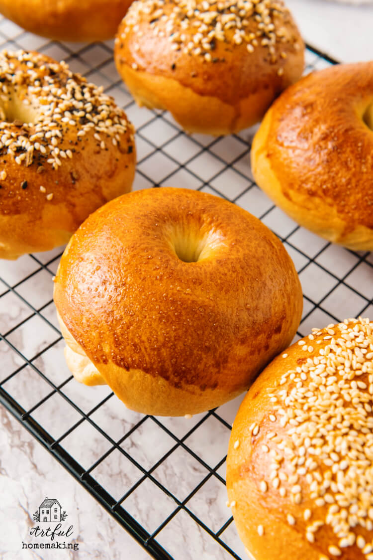 fresh-baked bagels on a cooling rack