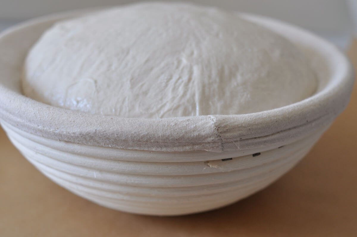 Sourdough banneton basket with proofed dough inside it.