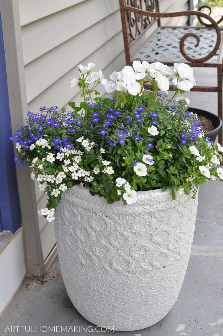 potted front porch planter