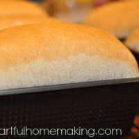 whole wheat bread recipe
