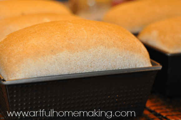 whole wheat bread recipe