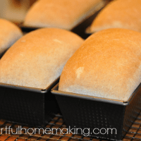 whole wheat bread recipe loaves