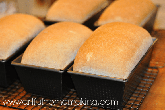 whole wheat bread recipe loaves