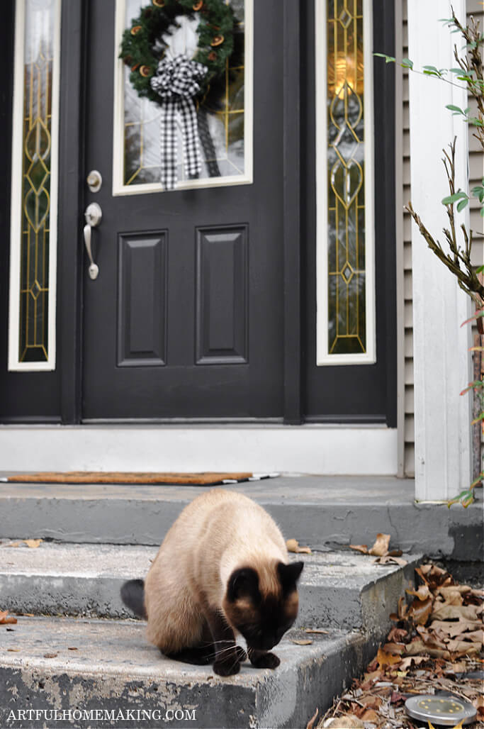 front door with wreath and cat on porch