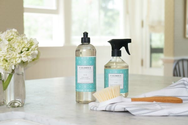 summer cleaning free products