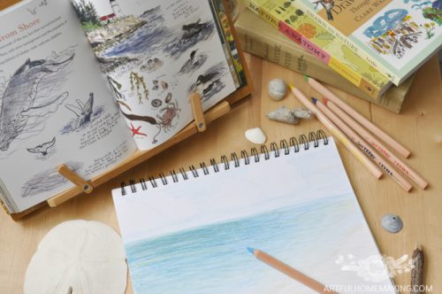 Charlotte Mason Nature Study - Artful Homemaking