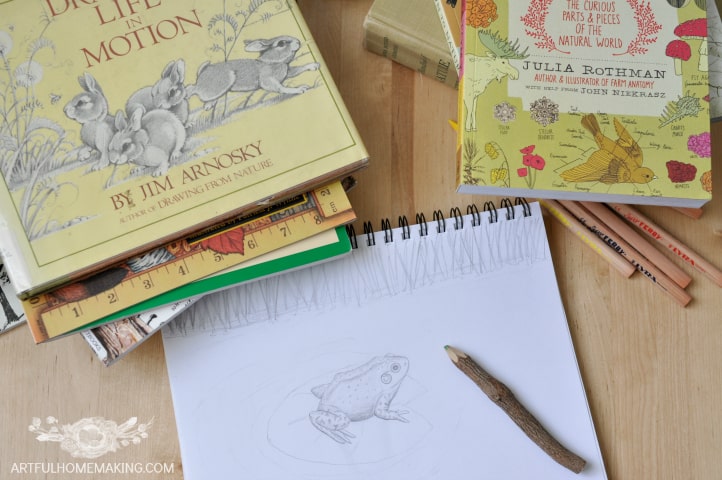 charlotte mason nature journaling ideas