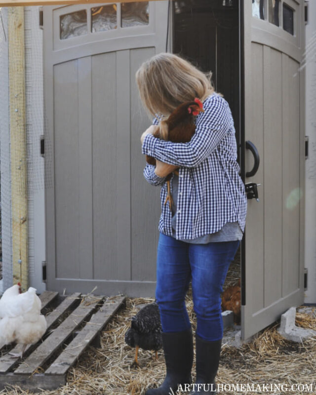 chicken coop shed