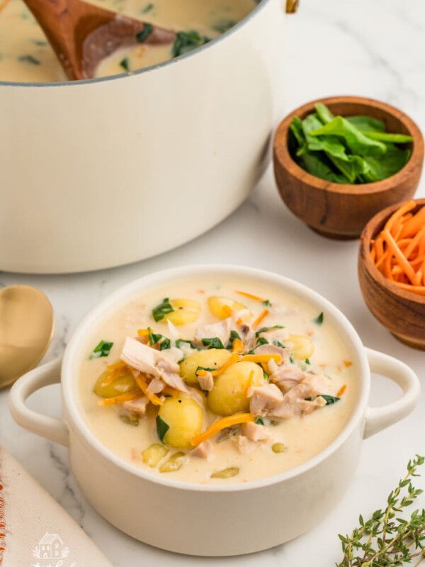 creamy chicken gnocchi soup recipe
