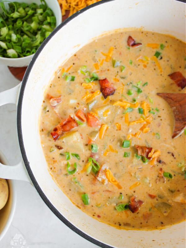 overhead view of a bowl of potato chicken soup