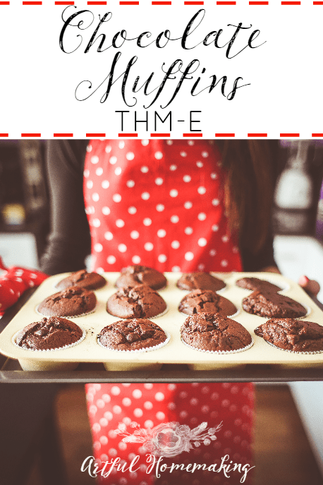 Chocolate Muffins {Trim Healthy Mama-E}