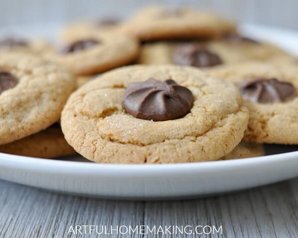 chocolate star christmas cookies