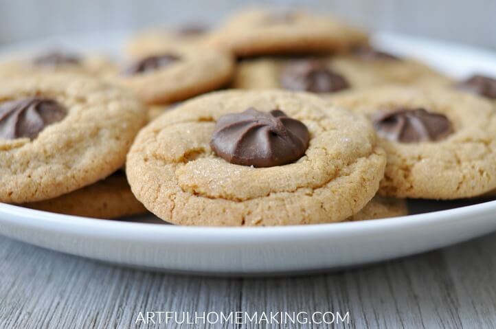 chocolate star christmas cookies